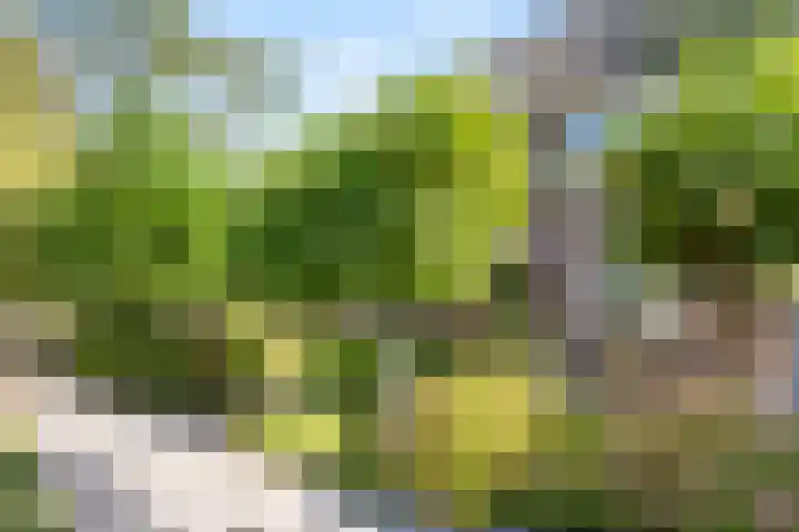 Lange Voren 97 Barneveld thumbnail 51