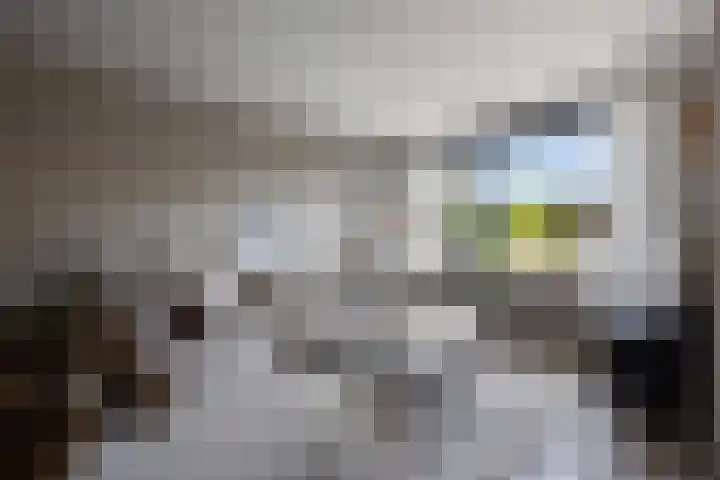 Lange Voren 97 Barneveld thumbnail 8