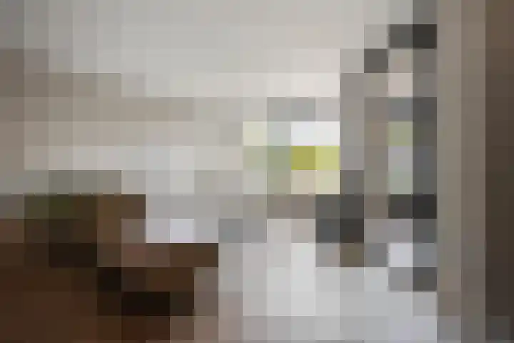 Lange Voren 97 Barneveld thumbnail 9