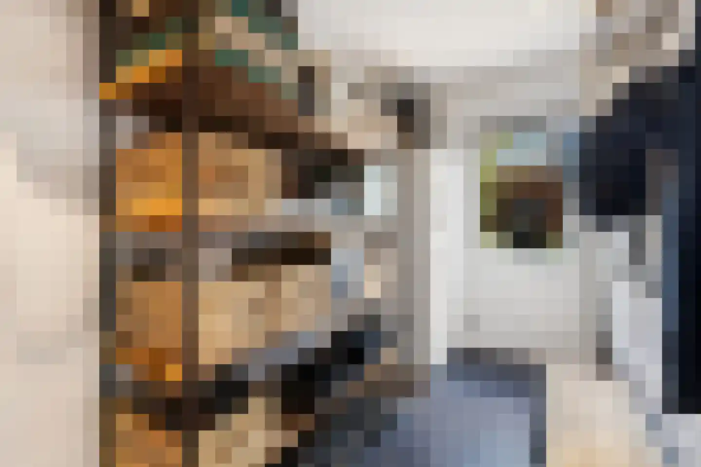 Lange Voren 98 Barneveld thumbnail 27