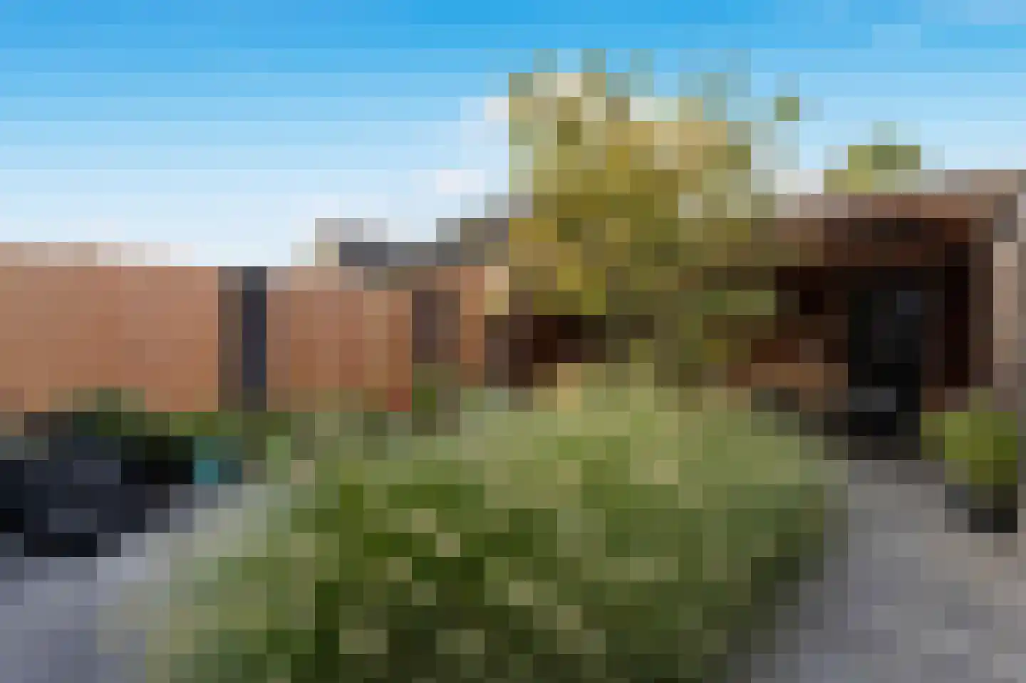 Lange Voren 98 Barneveld thumbnail 28