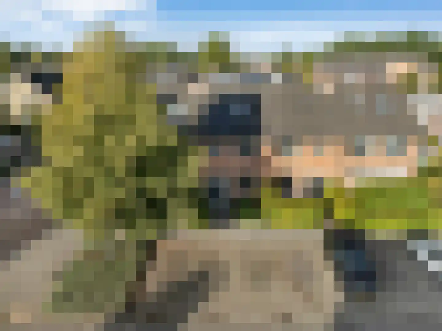 Lange Voren 98 Barneveld thumbnail 39