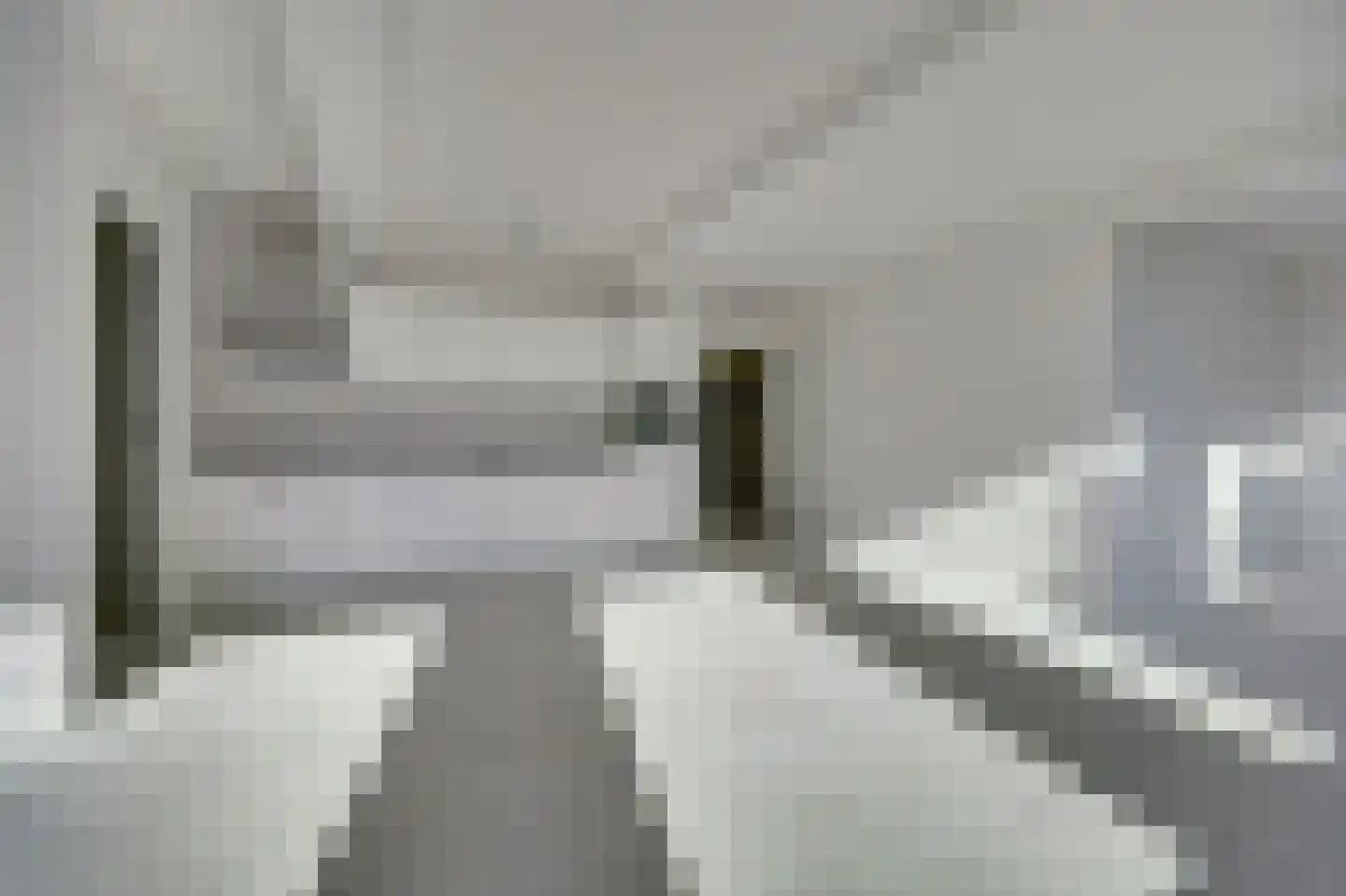 Lange Vorststraat 89 A Goes thumbnail 12