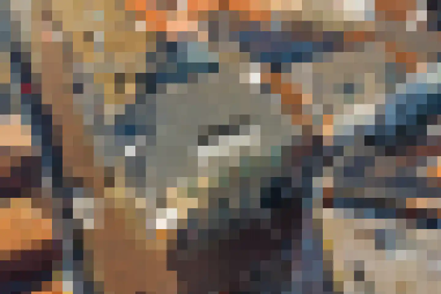 Lange Vorststraat 89 B Goes thumbnail 29