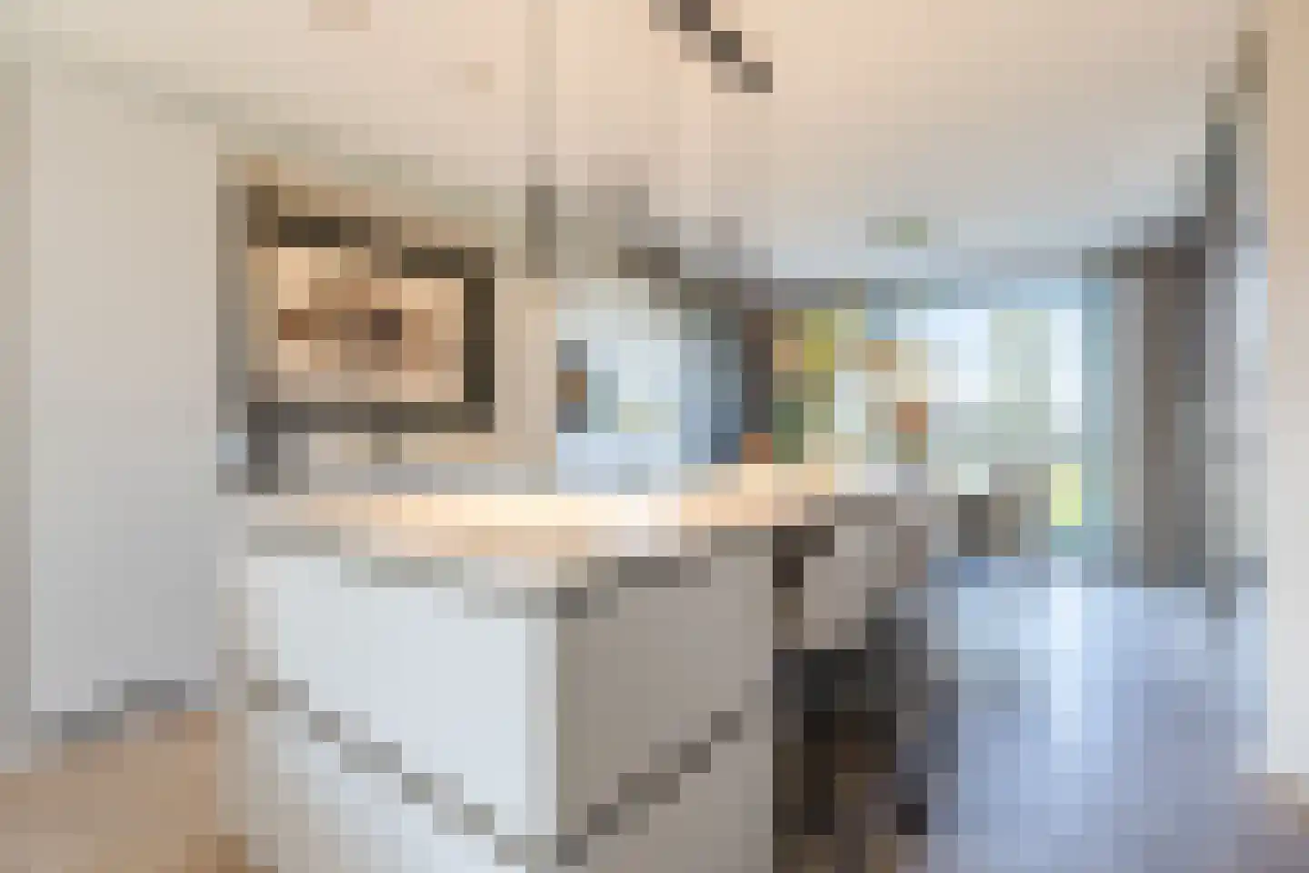 Lange Waag 65 Breda thumbnail 19