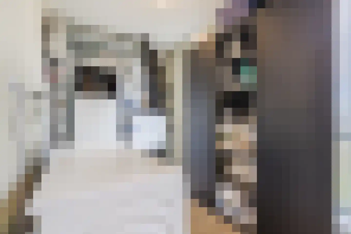 Lange Waag 65 Breda thumbnail 42
