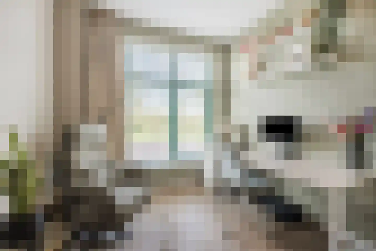 Lange Waag 65 Breda thumbnail 8