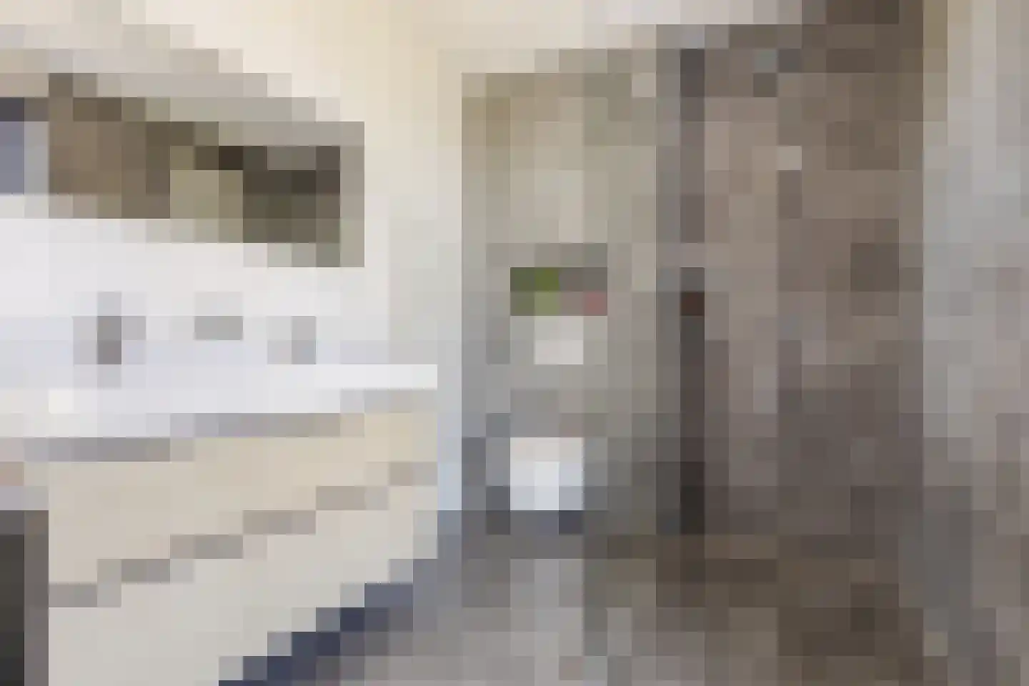 Lange Waag 77 Breda thumbnail 24