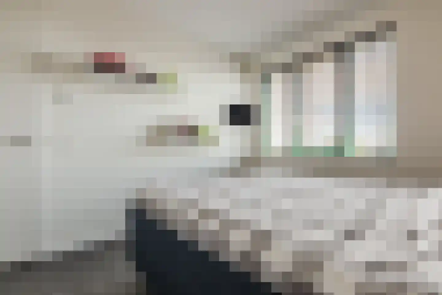 Lange Waag 77 Breda thumbnail 29