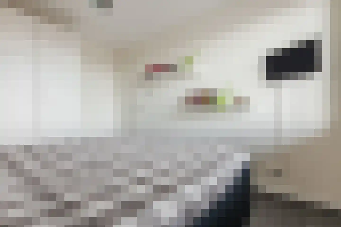 Lange Waag 77 Breda thumbnail 30