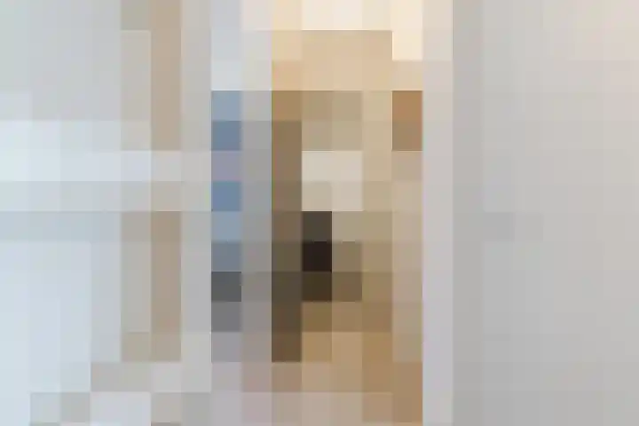 Lange Wagenstraat 4 K Gilze thumbnail 18