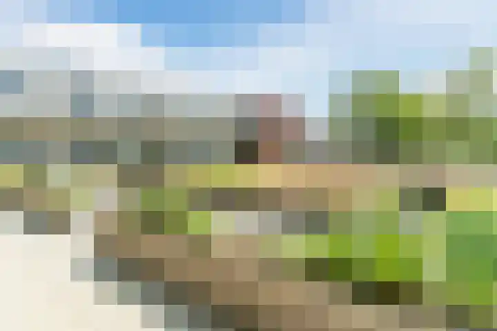 Lange Wagenstraat 4 K Gilze thumbnail 31