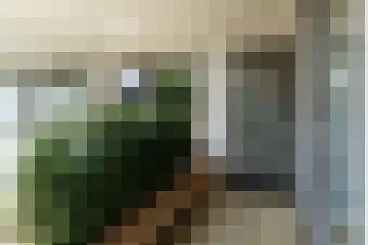 Lange Wagenstraat 4 K Gilze thumbnail 6