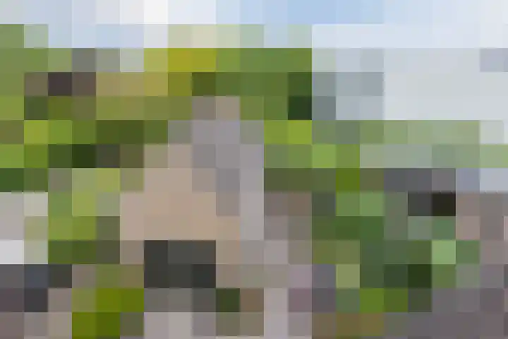 Lange Wagenstraat 49 Gilze thumbnail 35