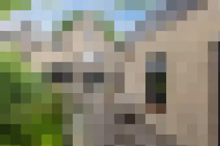 Lange Wagenstraat 49 Gilze thumbnail 39