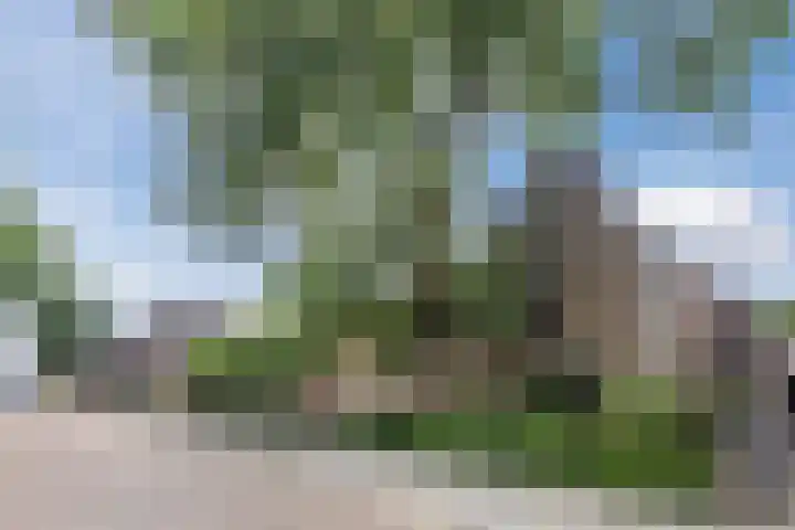 Lange Wagenstraat 49 Gilze thumbnail 4