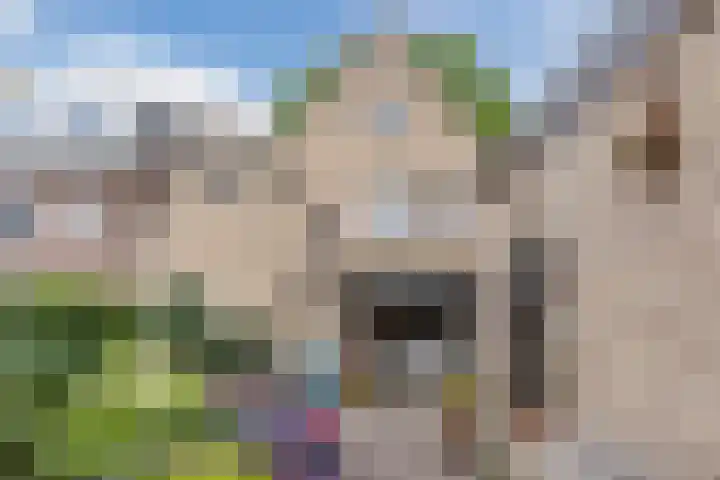 Lange Wagenstraat 49 Gilze thumbnail 40