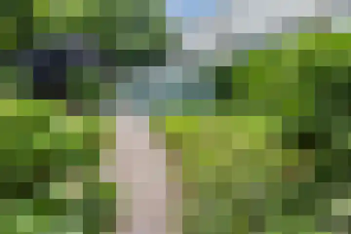 Lange Wagenstraat 49 Gilze thumbnail 47