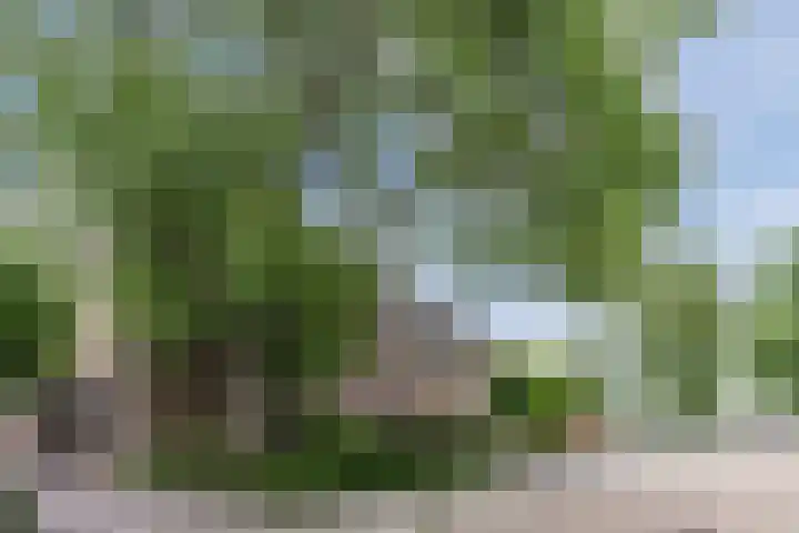 Lange Wagenstraat 49 Gilze thumbnail 5