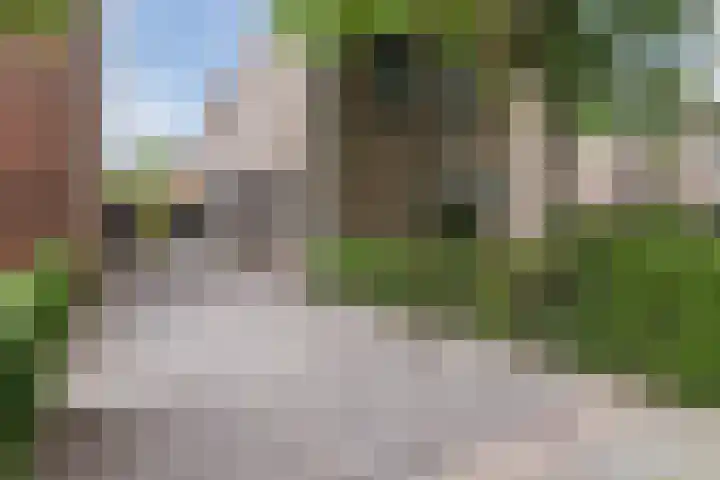 Lange Wagenstraat 49 Gilze thumbnail 6