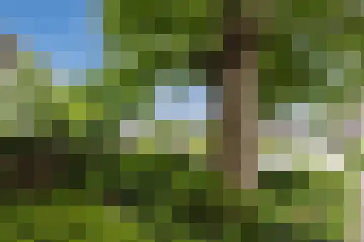 Lange Wagenstraat 49 Gilze thumbnail 7