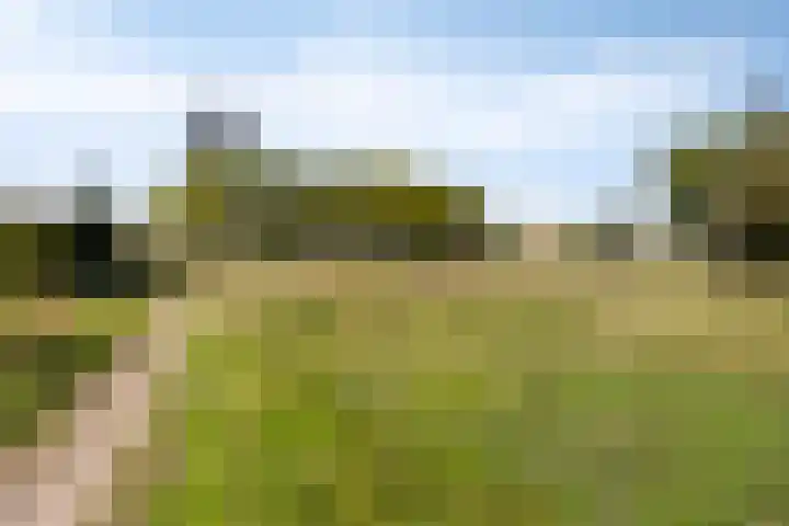 Lange Wal 108 Arnhem thumbnail 30
