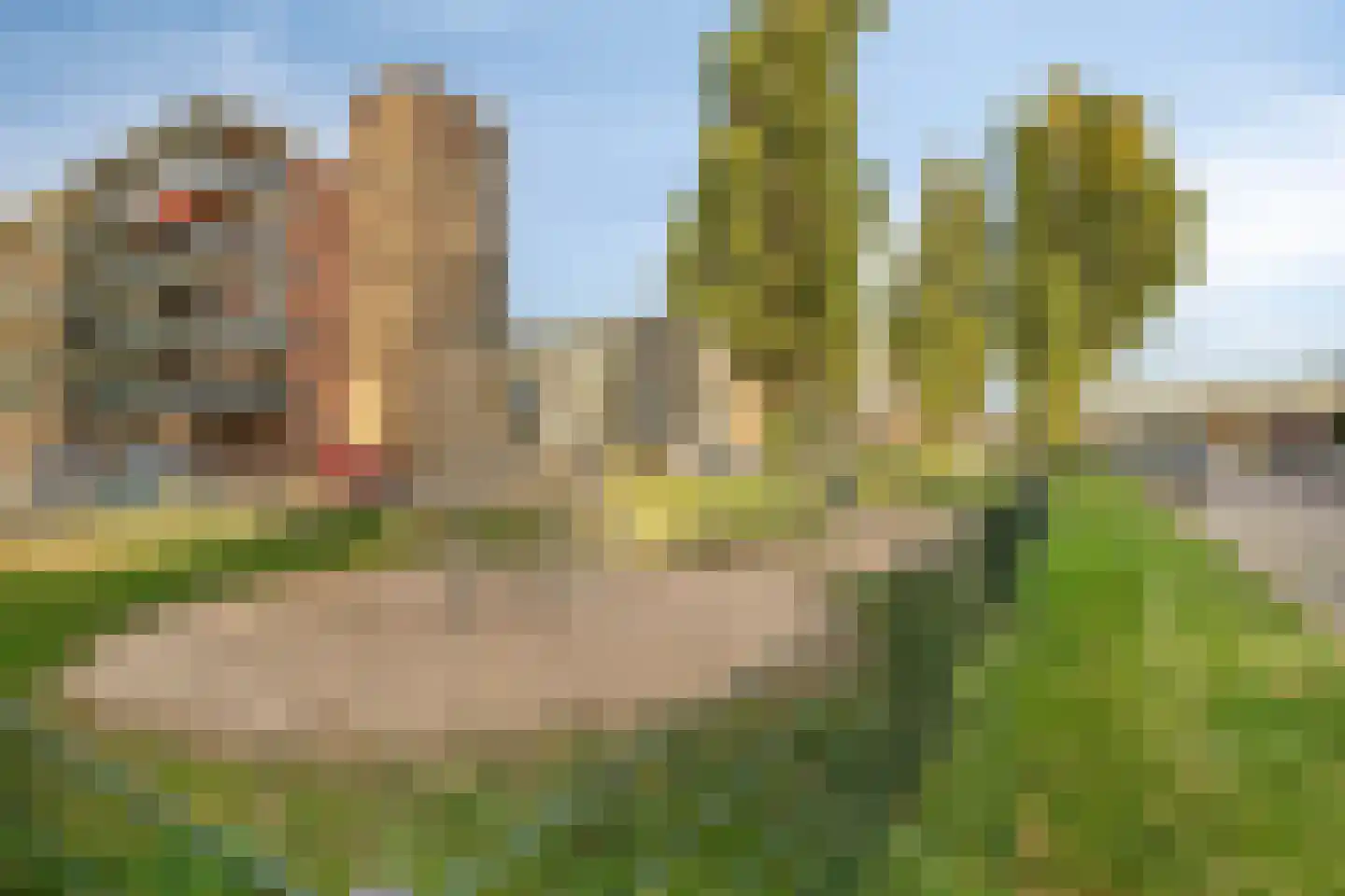 Lange Wal 22 2 Arnhem thumbnail 28