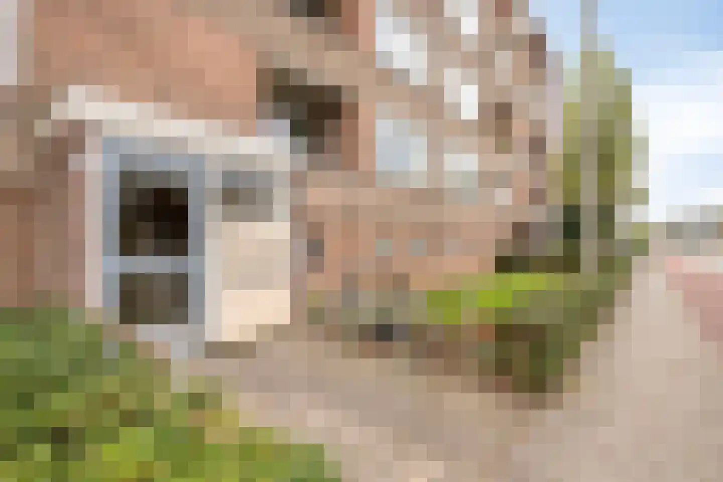 Lange Wal 22 2 Arnhem thumbnail 5