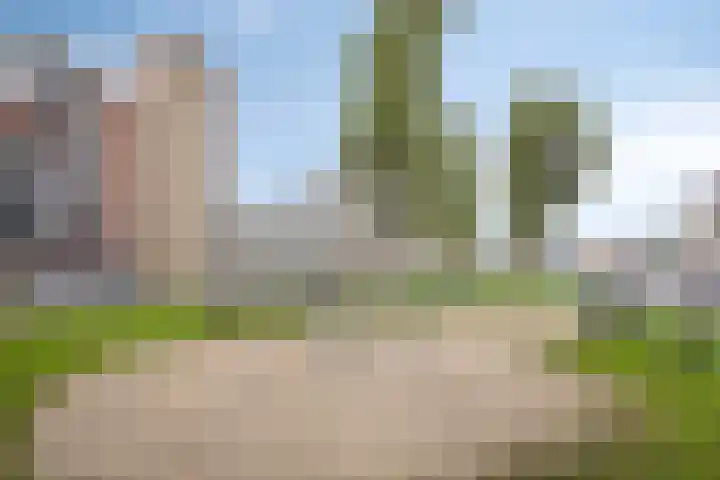 Lange Wal 22 3 Arnhem thumbnail 27