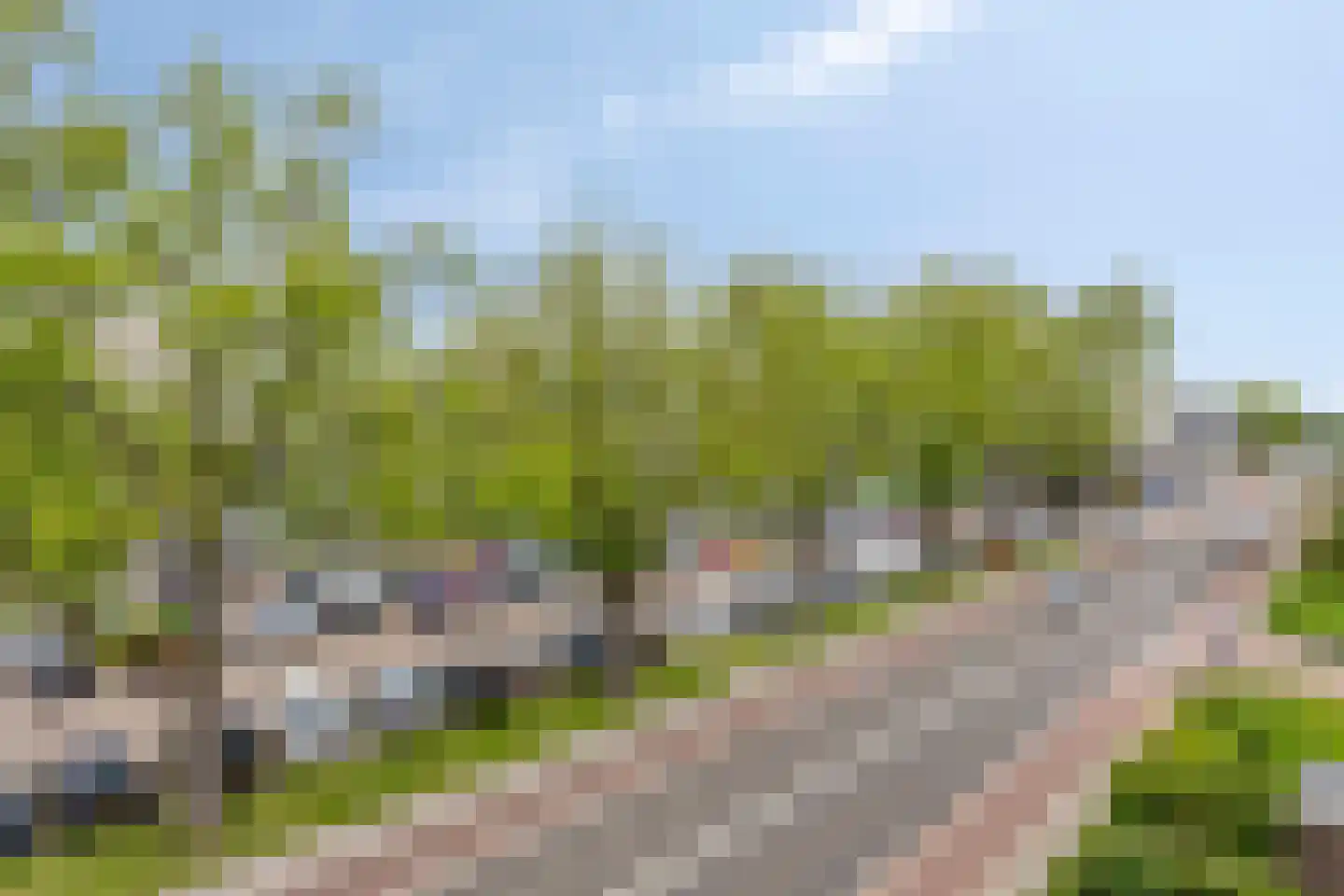 Lange Wal 32 3 Arnhem thumbnail 19
