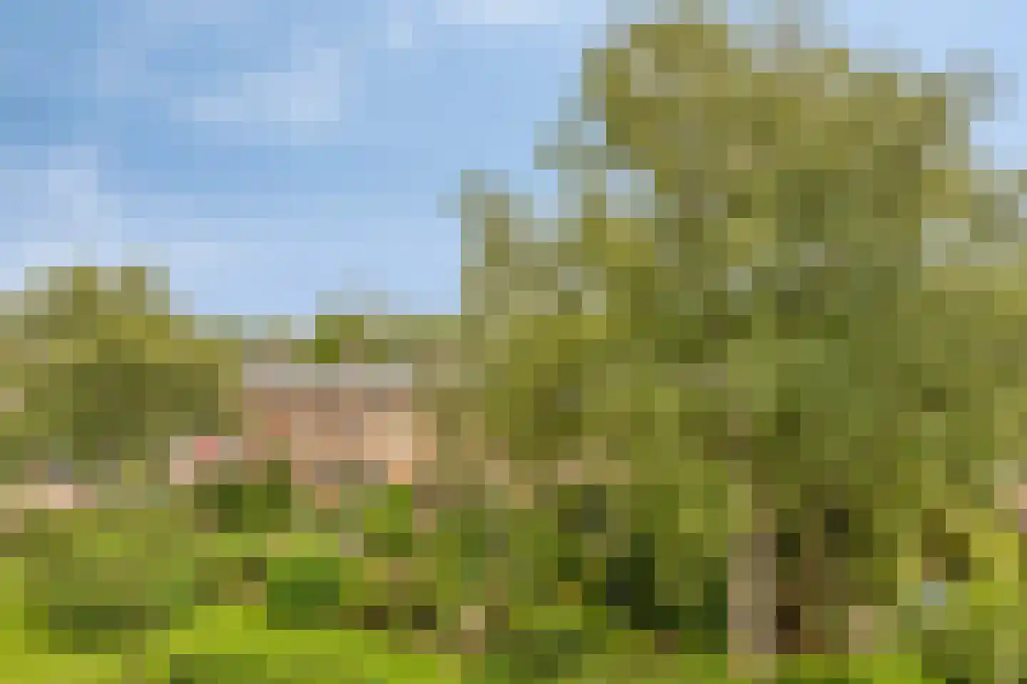Lange Wal 32 3 Arnhem thumbnail 27