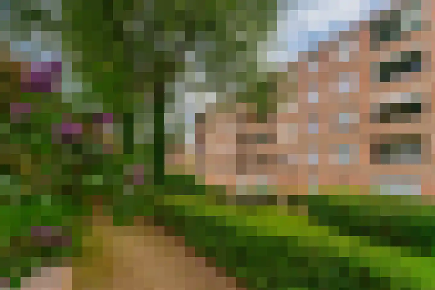 Lange Wal 44 1 Arnhem thumbnail 12