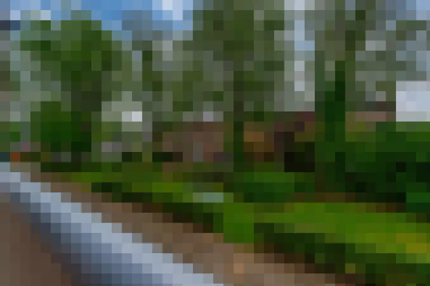 Lange Wal 44 1 Arnhem thumbnail 9