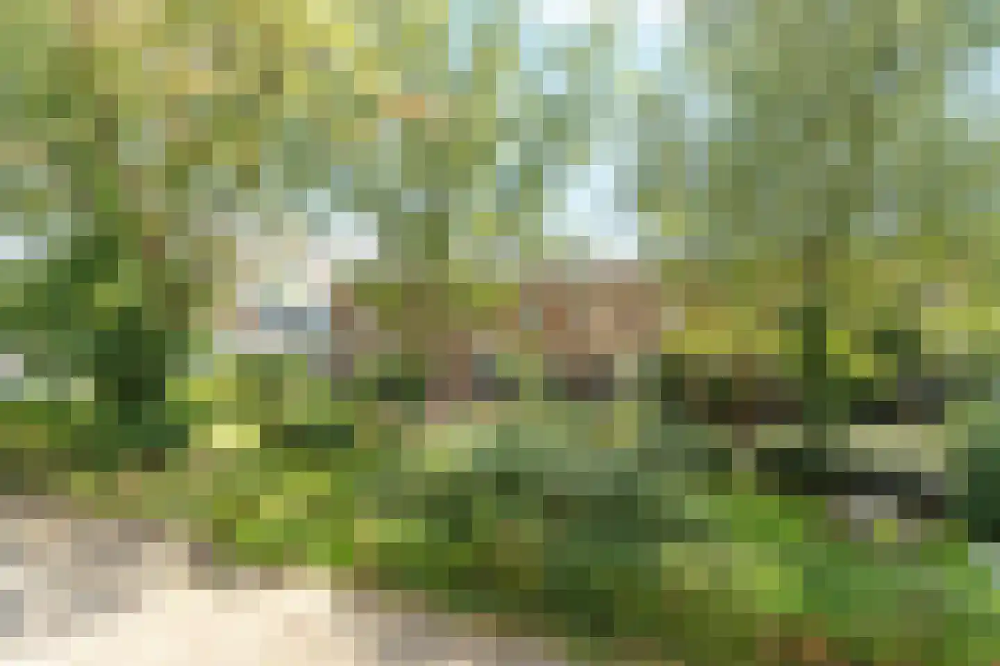 Lange Wal 46 1 Arnhem thumbnail 25