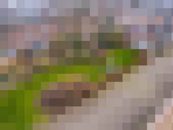 Lange Wal 48 3 Arnhem thumbnail 54