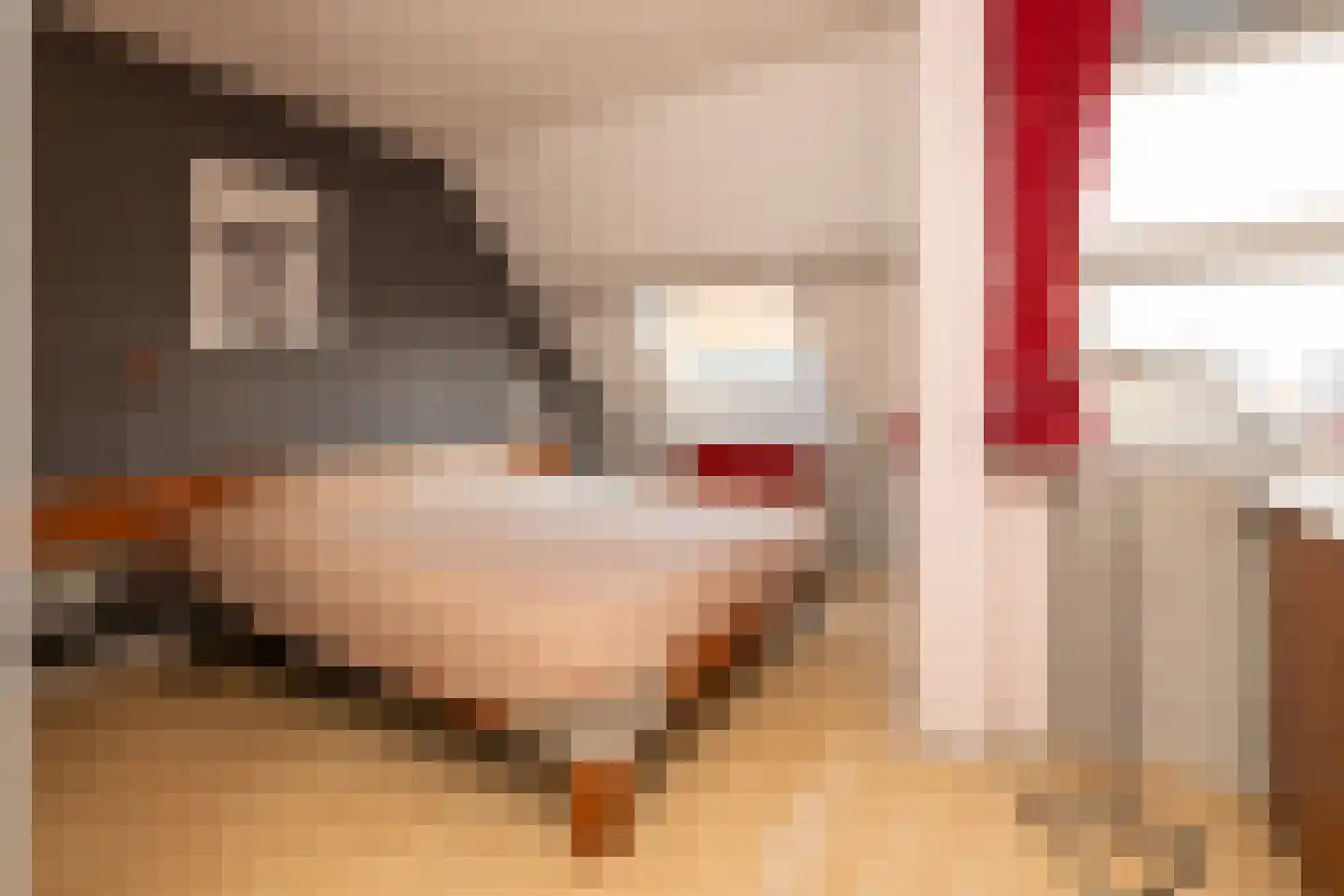 Lange Wateringkade 18 Kwintsheul thumbnail 19