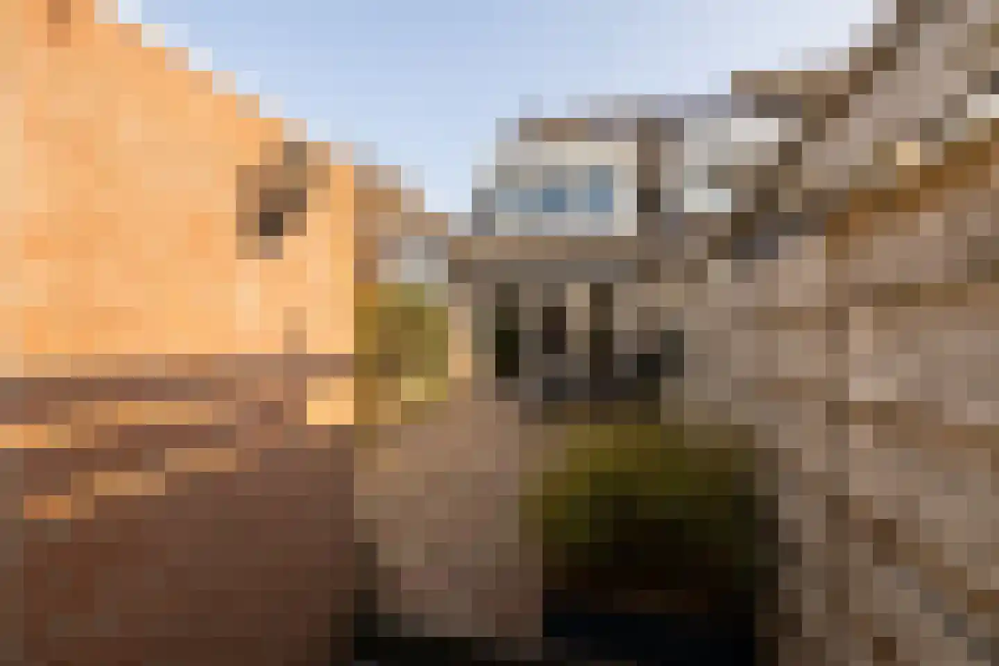 Lange Wateringkade 18 Kwintsheul thumbnail 36