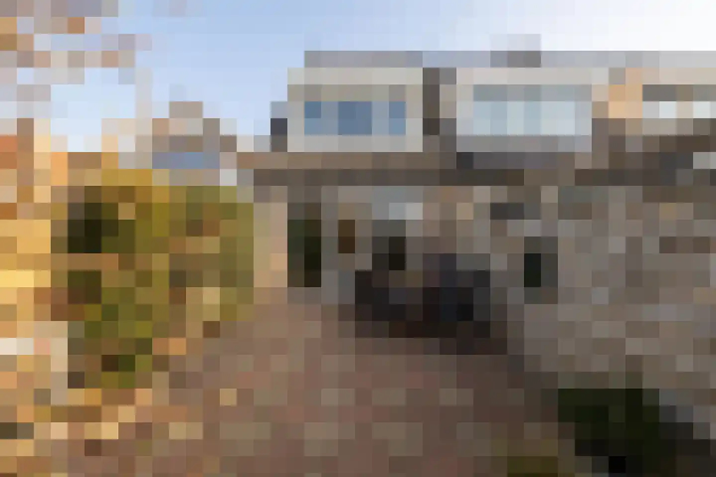 Lange Wateringkade 18 Kwintsheul thumbnail 4
