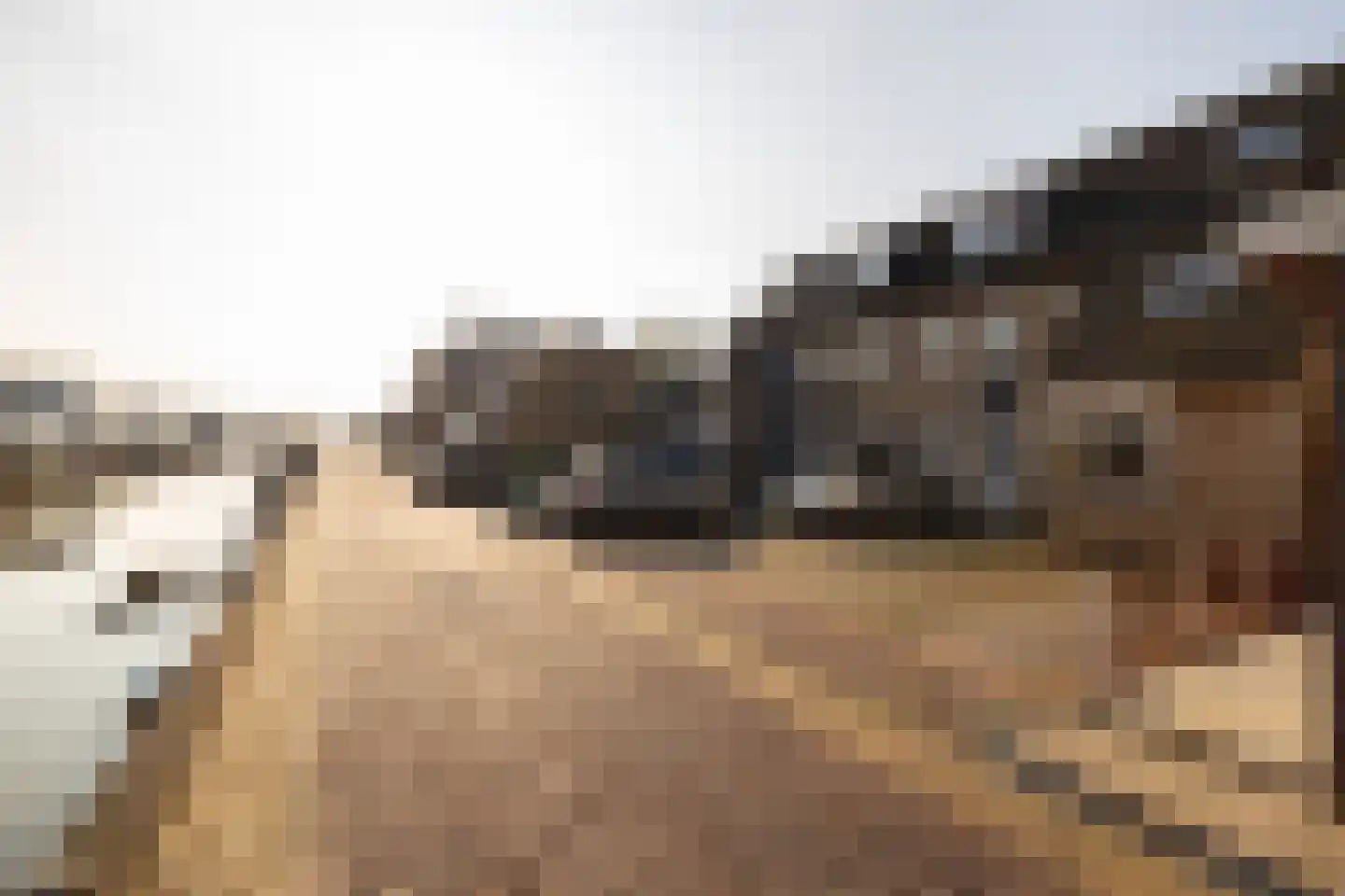 Lange Wateringkade 18 Kwintsheul thumbnail 40