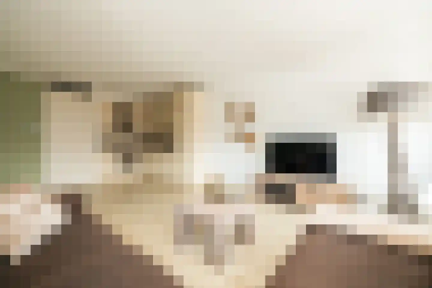 Lange Wateringkade 27 D Kwintsheul thumbnail 12