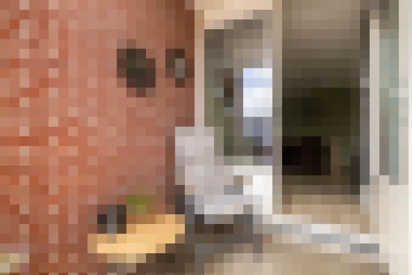 Lange Wateringkade 27 D Kwintsheul thumbnail 18