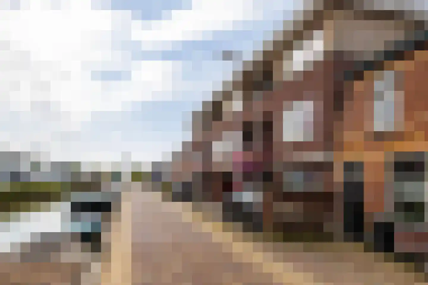 Lange Wateringkade 27 D Kwintsheul thumbnail 34