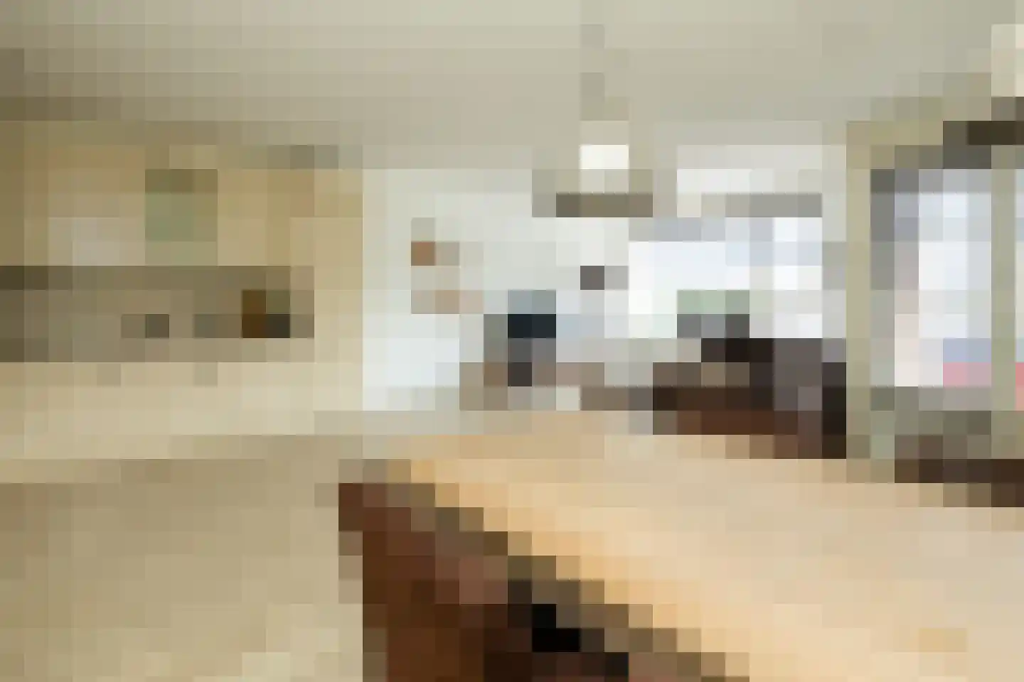 Lange Wateringkade 27 D Kwintsheul thumbnail 7