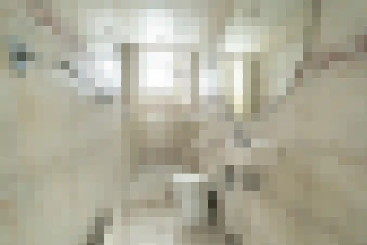 Lange Wateringkade 29 Kwintsheul thumbnail 20