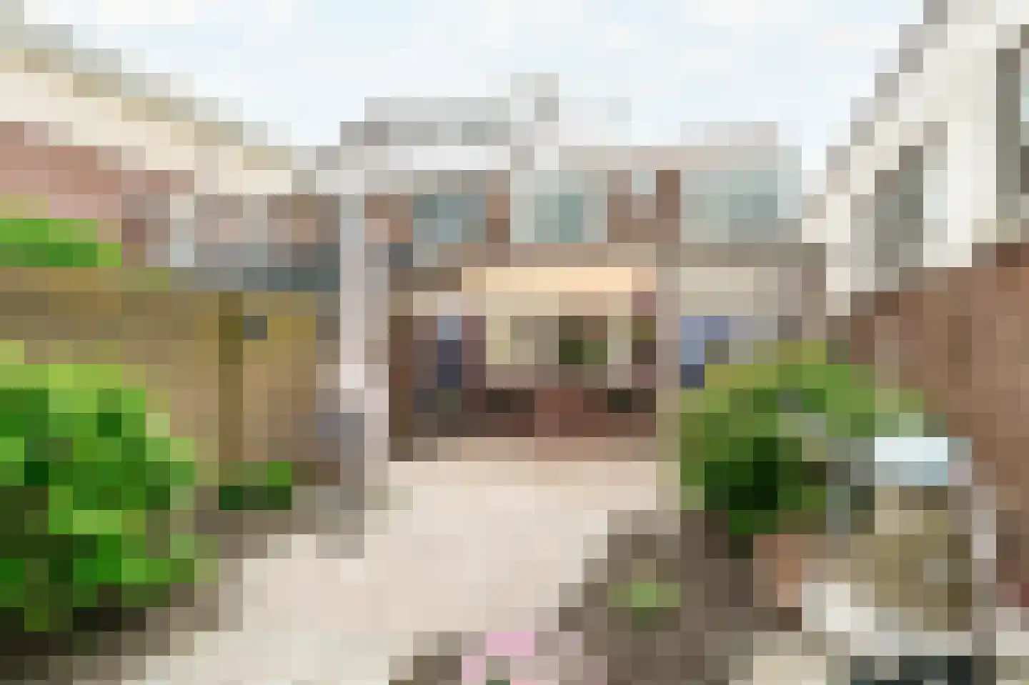 Lange Wateringkade 29 Kwintsheul thumbnail 23