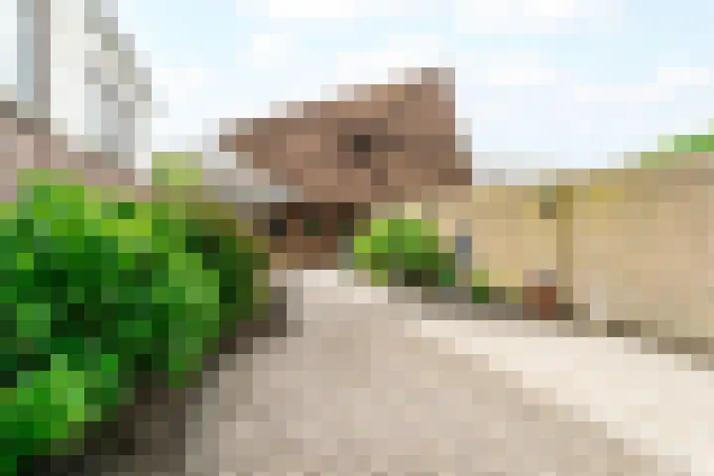 Lange Wateringkade 29 Kwintsheul thumbnail 25