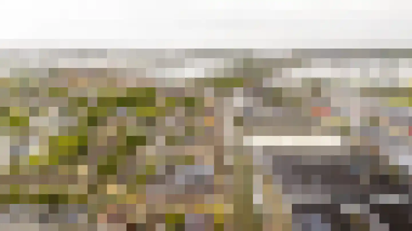 Lange Wateringkade 29 Kwintsheul thumbnail 31