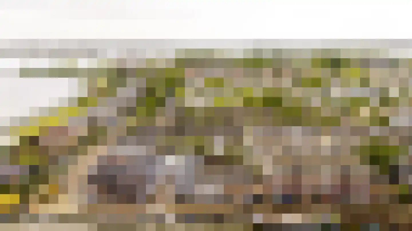 Lange Wateringkade 29 Kwintsheul thumbnail 32