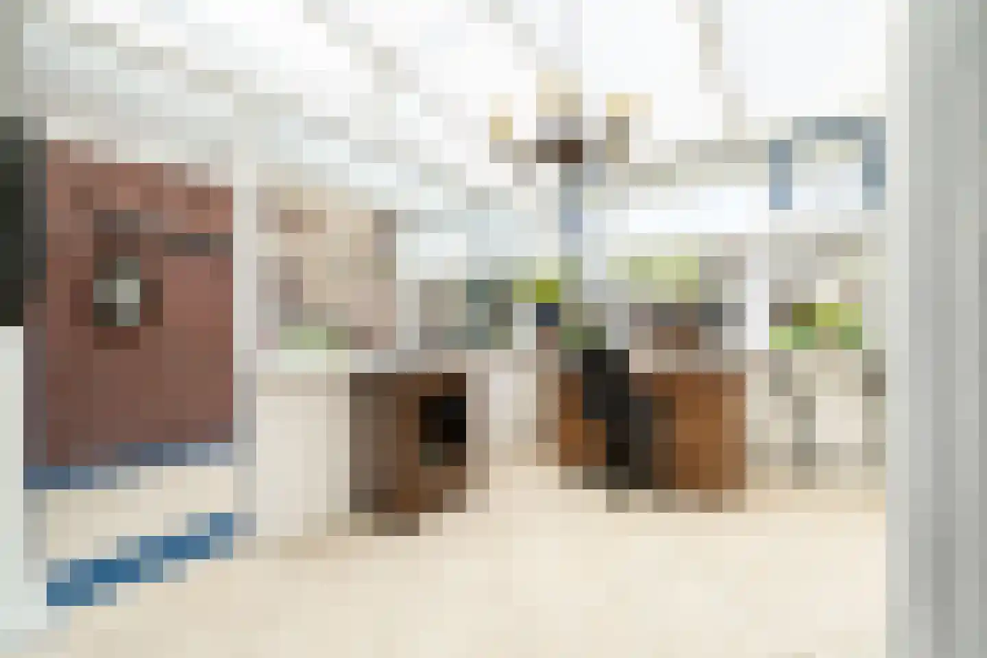 Lange Wateringkade 29 Kwintsheul thumbnail 8