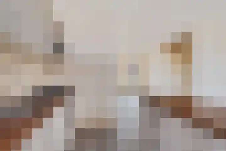 Lange Weide 12 Lith thumbnail 16